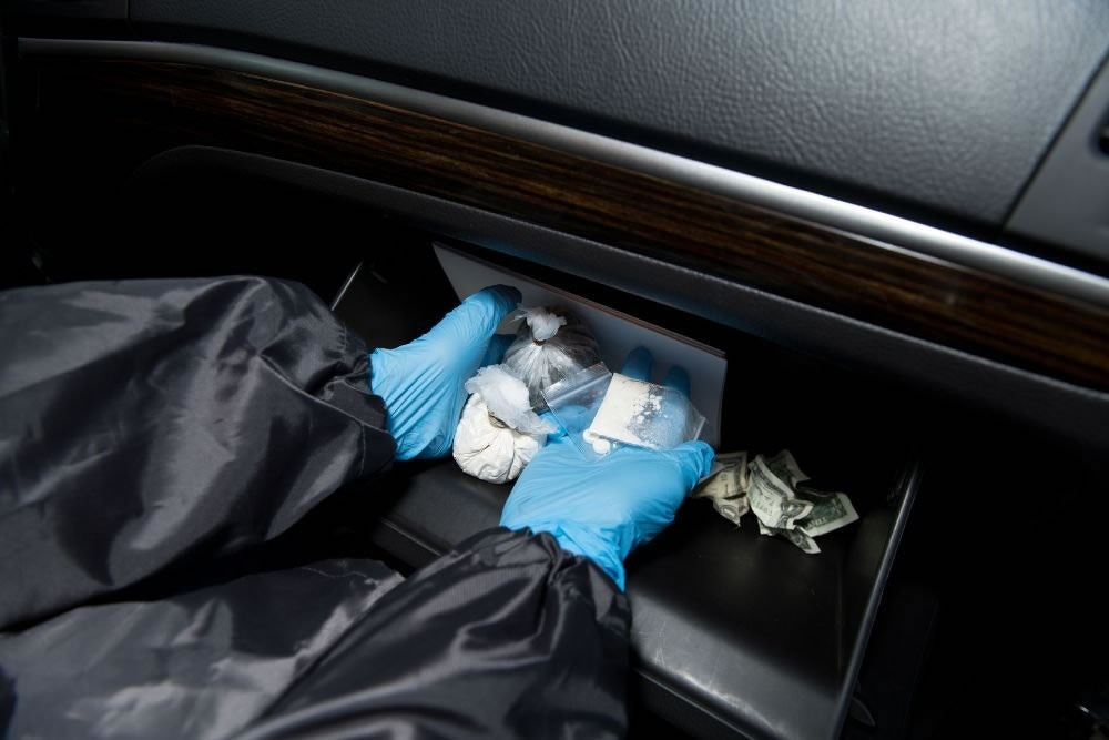 Police vehicle search